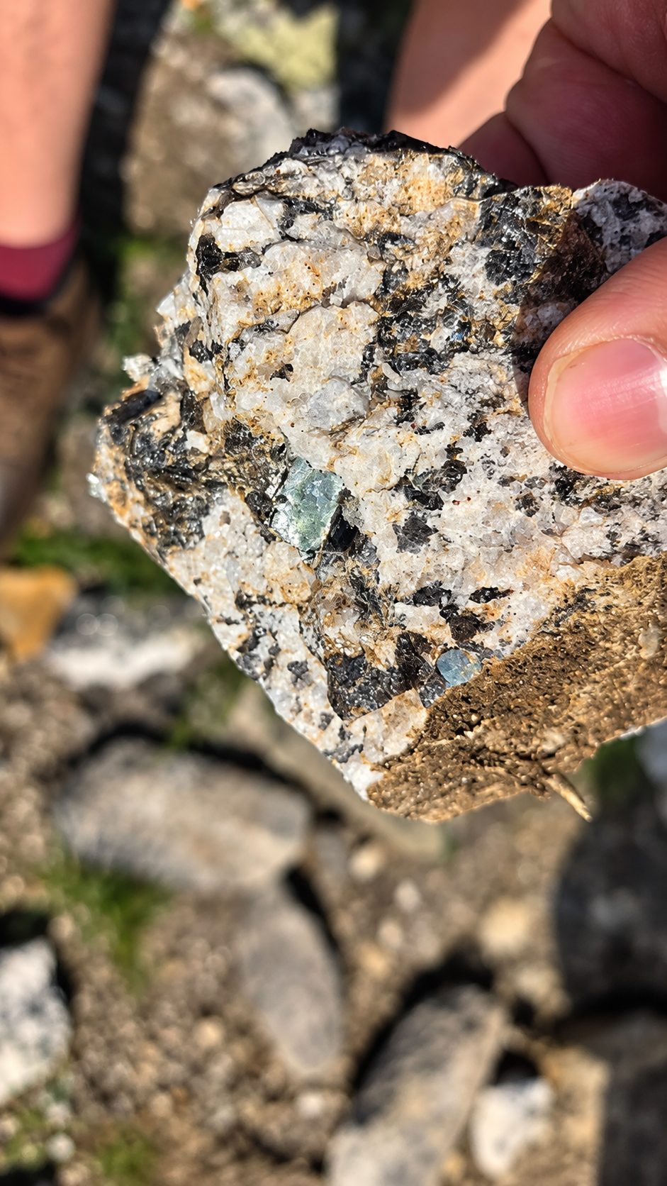Close-up of a rock sample with visible mineral textures.