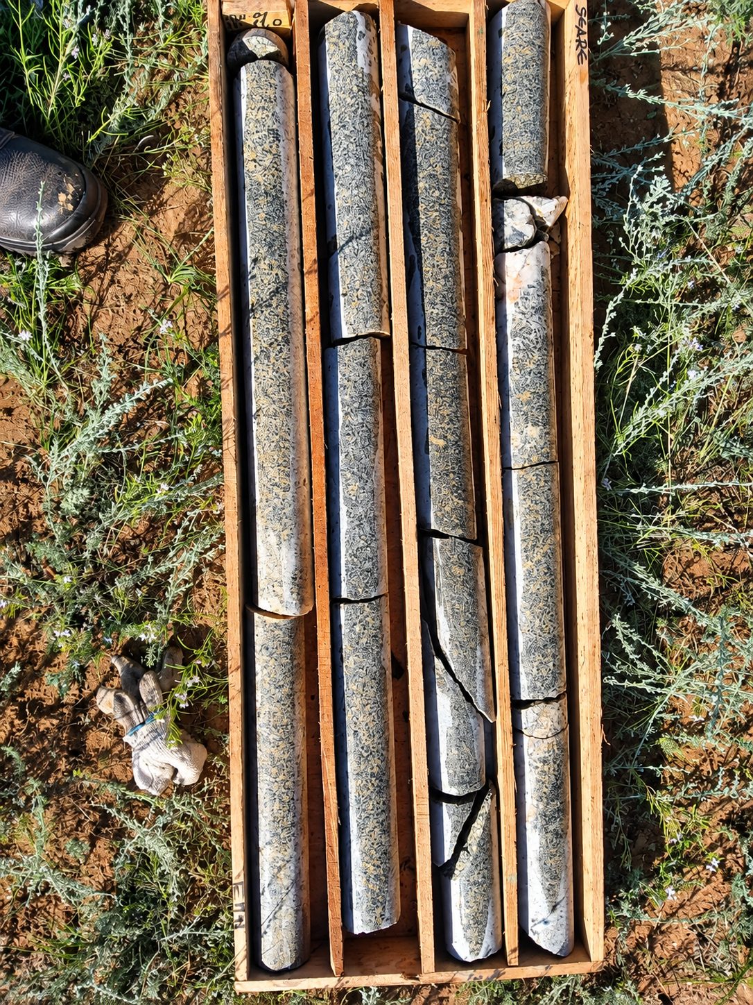 Drill core arranged in wooden boxes.